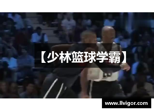 【少林篮球学霸】